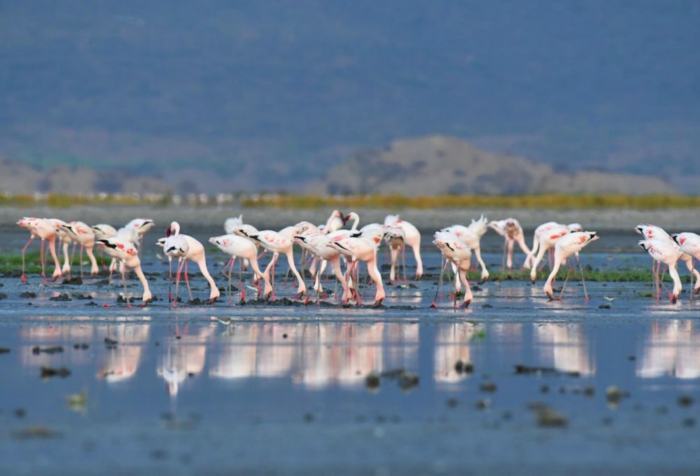 Ausflug zum Lake Eyasi für Selbstfahrer